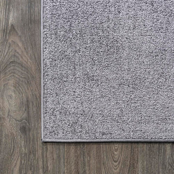 Haze Solid Low-pile Area Rug Gray